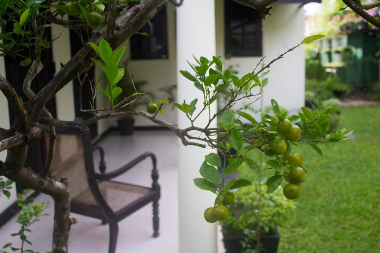 Airport Gateway Residence Negombo Bagian luar foto